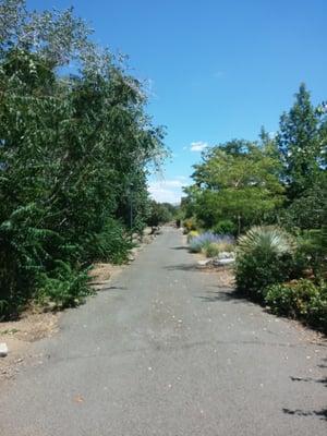 The store is easy to get to from the Truckee River path at Kohn Champion Memorial Park or off Kietzke Ln and Kuenzli.