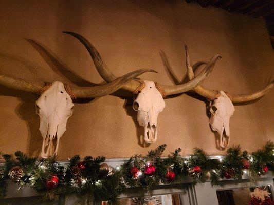 These longhorns jingled themselves to death!