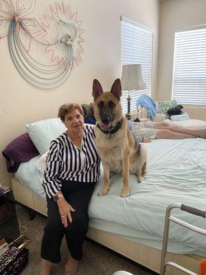 Judy Stern and her grandson 16 month old German shepherd