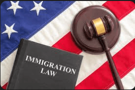 Immigration Law.