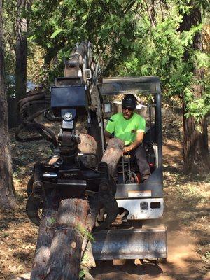 Carsten Tree Service