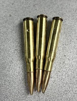 50cal dummy rounds