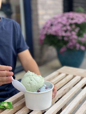 Cucumber and butterfly pea iceacream