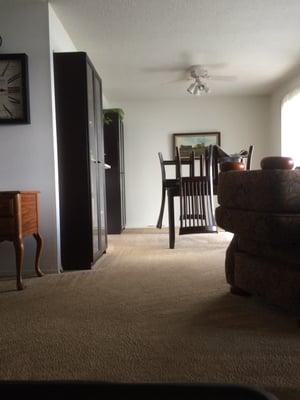 Clean carpets by SunGlo today. Clean and lemon fresh!