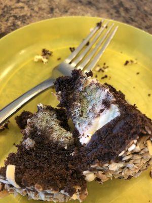 More old moldy cake from take the cake