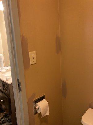 Mixed matched paint in the bathroom. Tons of mildew, etc.