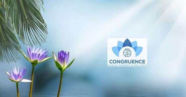 Congruence Physical Therapy & Wellness - Milpitas, CA