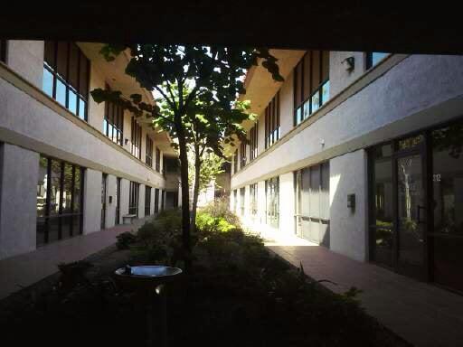 Outside Courtyard