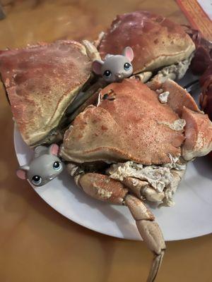 Dungeness Crabs are glorious mmmm