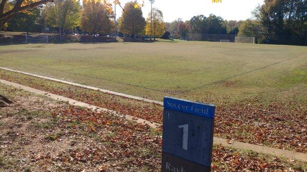 Randolph Park, Charlotte NC