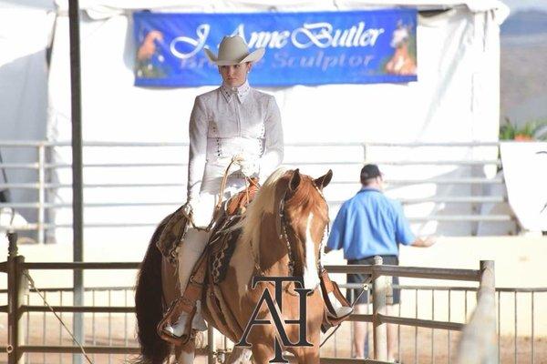 Client winning Scottsdale level 3 dressage making cover of Arabian Horse Times ( National/ InternattionalPublication)