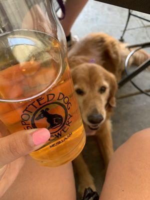 Apple Cider and dog