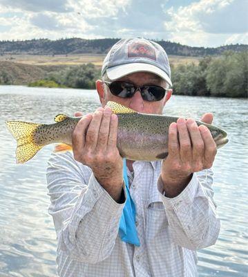 Nice brown trout