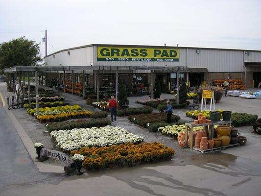 Barry Rd Grass Pad