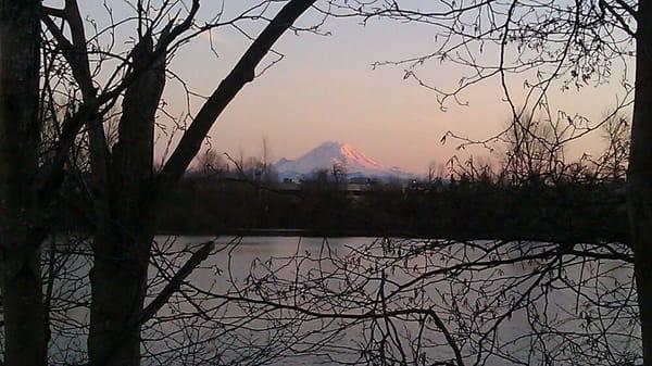 A view from the Target parking lot at the pond - Mt Rainier in the background