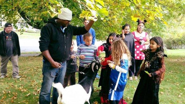 Open Petting Zoo for a Halloween Party