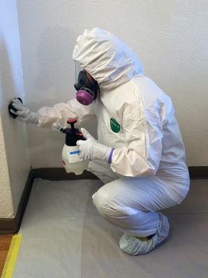 TCST Technician using disinfectant on a wall.