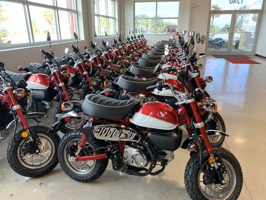 2019 125cc, four speed Monkey 65 mph !  They have lots of them