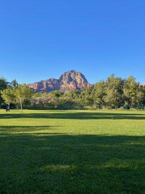 Park with grassy area and views