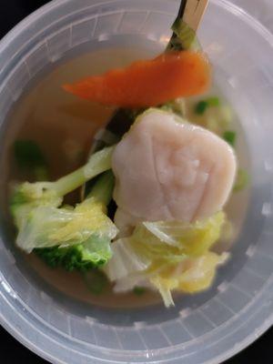 Wonton Soup