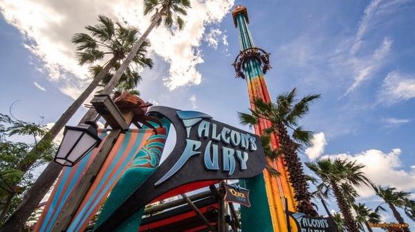 Soft-opening special experience with the tower in the background