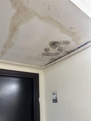 Obvious mold growing above door at entrance of room.