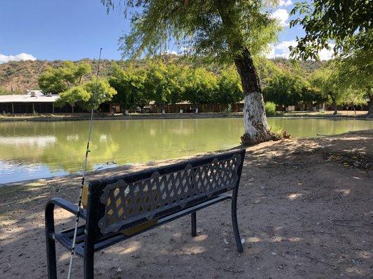 Fishing Pond with bench