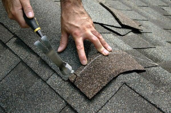 Roof Services of all Types  Asphalt Shingles, Tiles, Metal, and Flat Roof in Tampa, St. Petersburg, and Clearwater