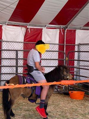 Oversized kid, on this tiny pony, the employee was obviously not trained and should not have allowed this kid on this poor little guy