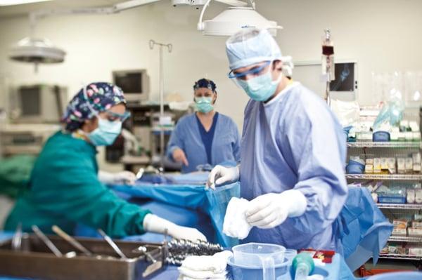 Surgical Technology Program