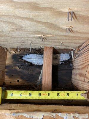 Rotten rim/joist