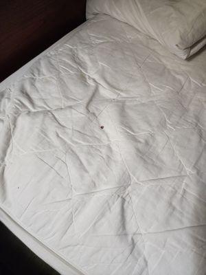 Mattress cover