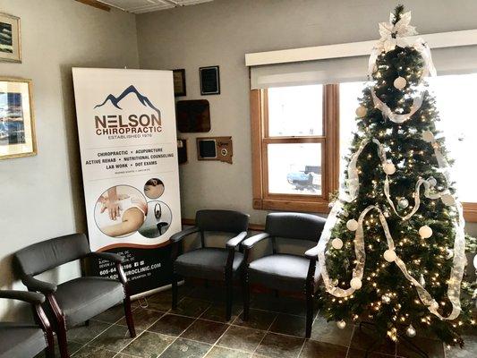 Nelson Chiropractic Clinic