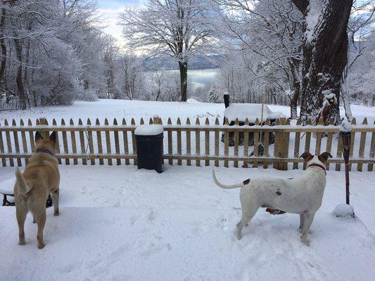 Dries and Miles loving the snow