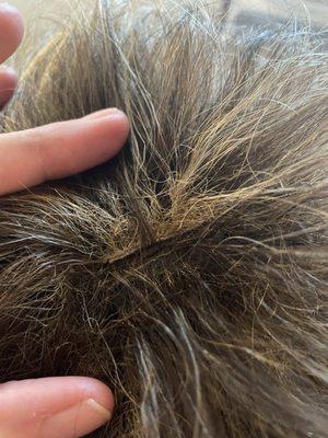 Matted and wefting loose. Definitely a  previously worn wig