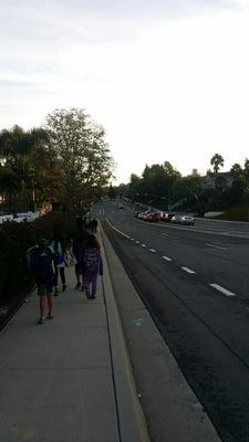 Walk to school day