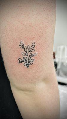 Leaf stem cluster 2"x3" back of arm tiny tattoo