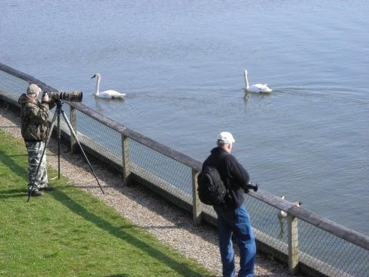 Watchers & photographers