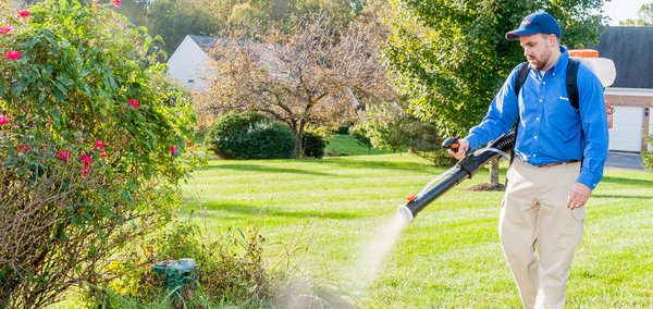 Our Mosquito and Tick Control Program is a seasonal monthly service that will help protect your yard. *mosquito & tick control