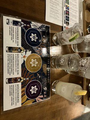 G&T flight