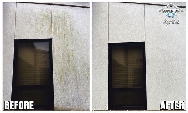 Commercial building Soft Wash