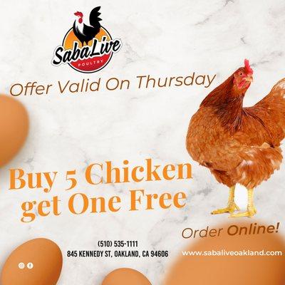 Saba Live Poultry