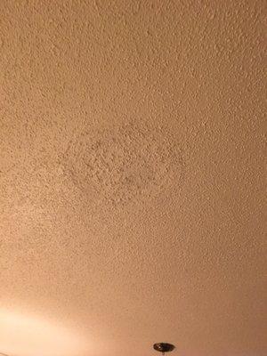 Spot in ceiling