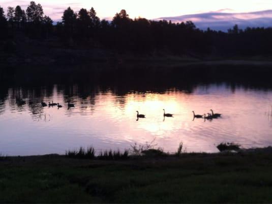 Near Tatanka campground at dawn