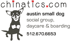 Chinatics Small Dog Boarding & Daycare