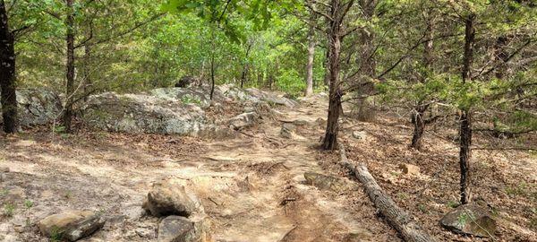 Nice hiking trails.