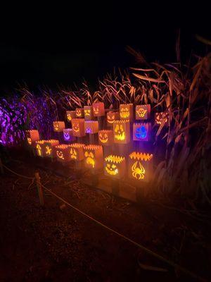 Jack o lanterns