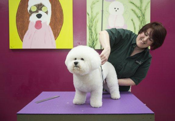 Let our professional groomers pamper your pup with a luxurious day at the Rover Oaks Doggie Spa!