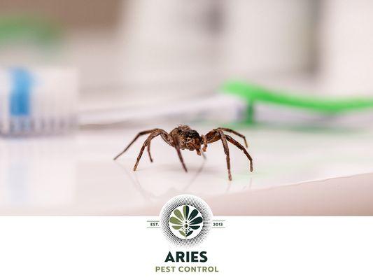 Aries Pest Control