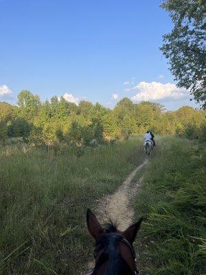 Horseback riding through Shelby Farms